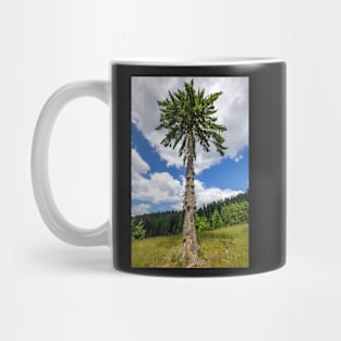 Secular fir tree on mountains Mug